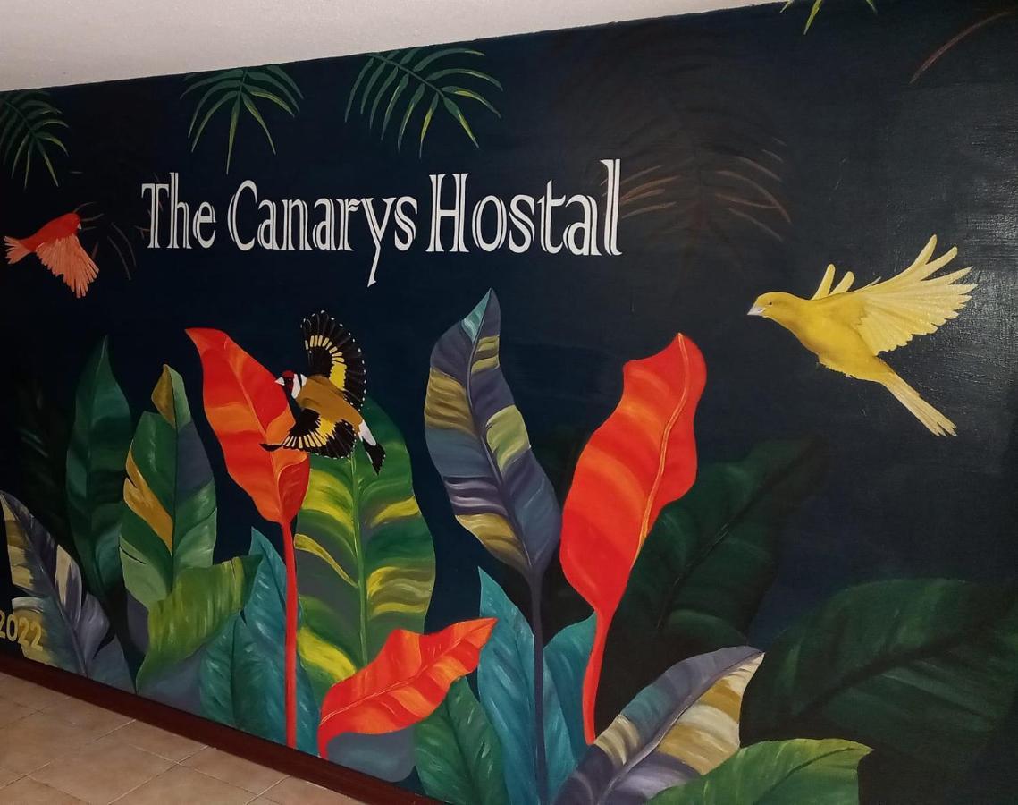The Canarys Hostal Santa Rosa de Cabal Exterior photo